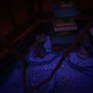 Meet your Posher, Kinley